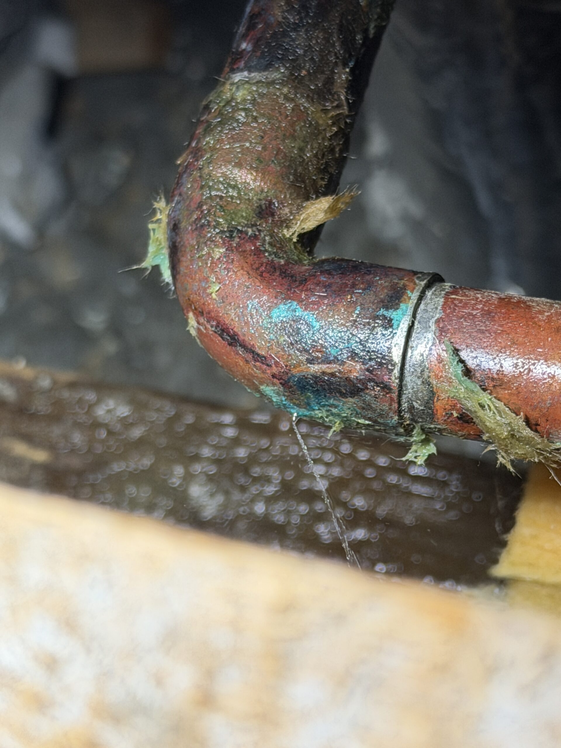 トイレ裏の壁からの漏水を修繕しました🚽